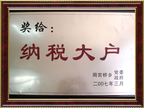 2007年纳税大户