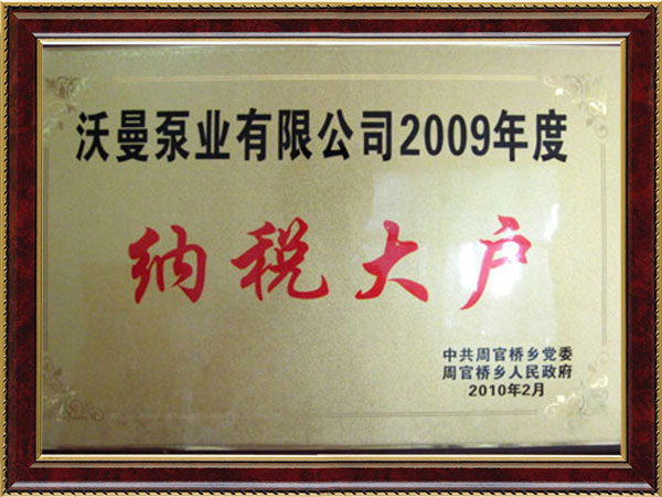 2009年纳税大户