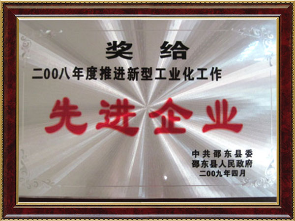 2008年先进企业