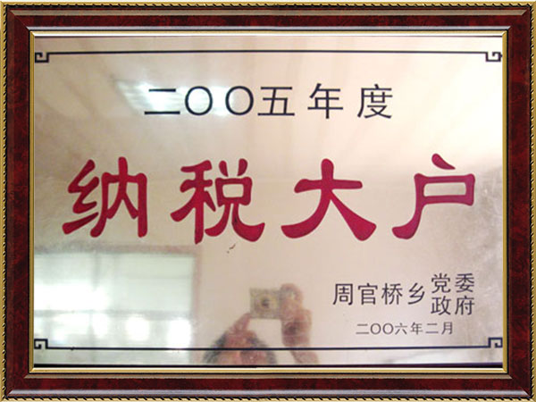 2005年纳税大户