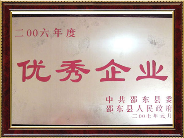 2006优秀企业